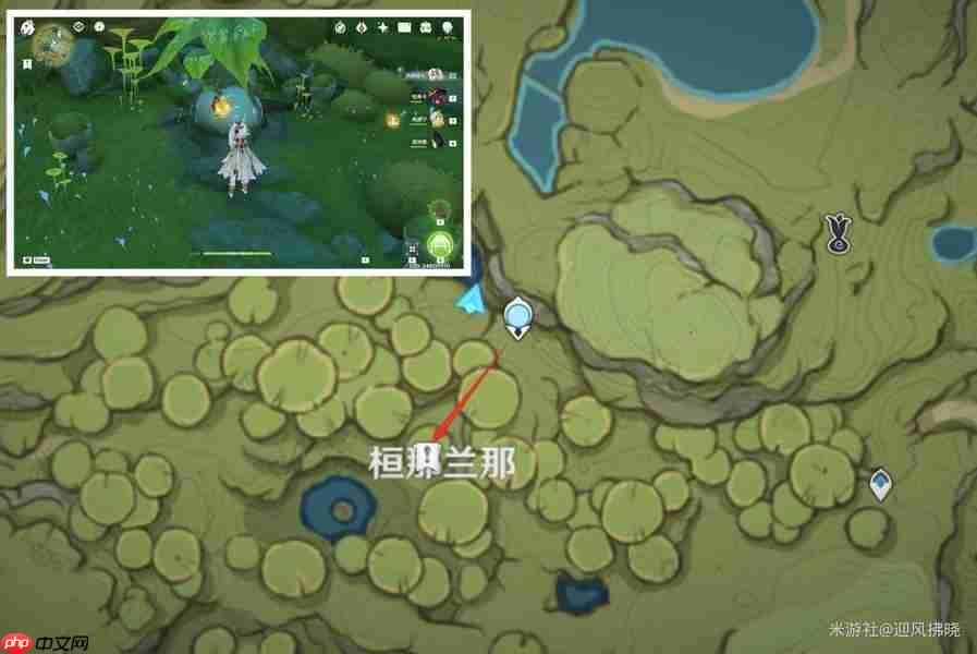 原神帕蒂沙兰全收集路线