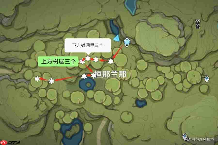 原神帕蒂沙兰全收集路线