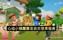 心动小镇露薇花杂交培育指南