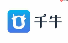 千牛发布商品时找不到类目怎么办？如何选择类目？手把手教你精准定位类目