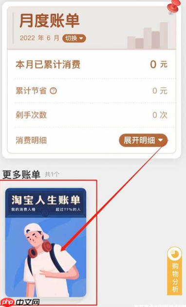 我的淘宝人生总账单在哪看？看不到账单咋办？淘宝人生总账单查询指南：查看方法与常见问题解决!