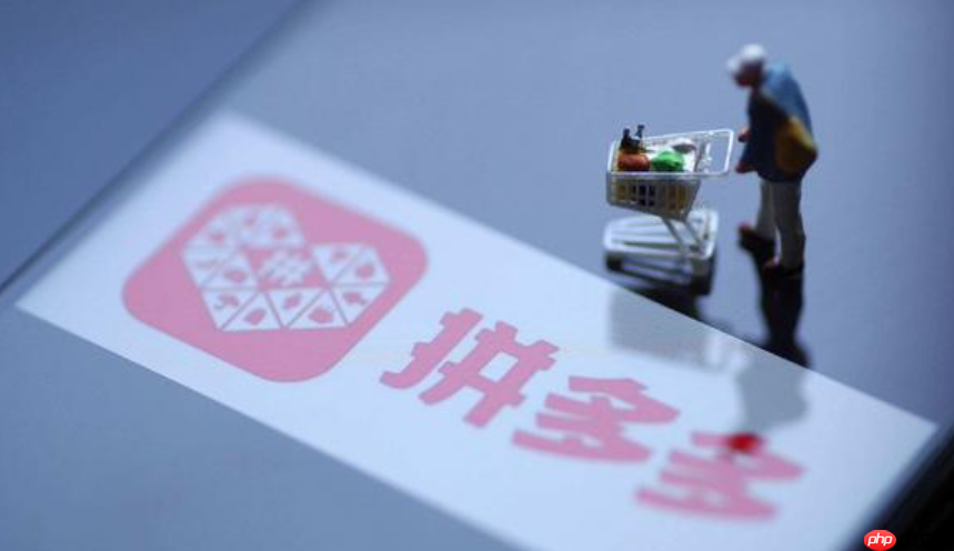 拼多多DSR指标怎样有效提升动态评分呢?DSR=流量密码?拼多多店铺权重提升的“数据驾驶舱”!商品描述三维验证法+客服情绪管理,日销破万的店铺底层基建!