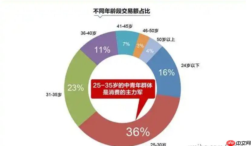淘宝用户画像流程如何操作？如何分析？探索和优化操作流程和分析方法以适应市场变化。