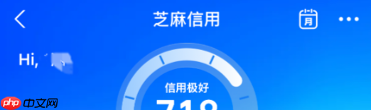 淘宝的先用后付最晚什么时候付款?额度在哪里看?先用后付逾期上征信?3秒查额度+最晚还款日,避坑指南!