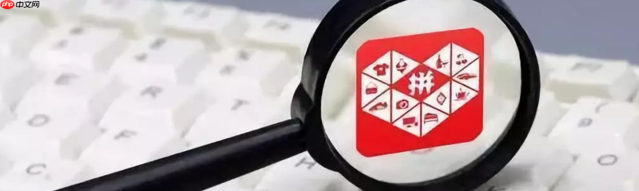 拼多多帮人代付的订单在哪儿查看?帮别人代付订单有记录吗?拼多多代付订单查询全攻略!代付记录这样查,安全又方便!