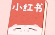 小红书如何发布内容才能获得流量？流量低的原因是什么？小红书获取流量提升影响力全攻略。