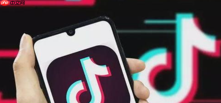 抖音星图怎么收费？投放方式有哪些？抖音星图收费与投放方式全解析：从预算到效果优化的完整指南