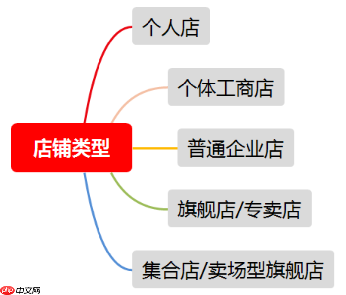 小红书开店铺的流程是什么?开店需要什么条件?小红书开店铺全流程解析:从条件到上线的完整指南