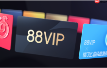 在双十一购买88会员是否划算？88VIP会员是否对所有商品都有折扣？教你做出最明智的决策！