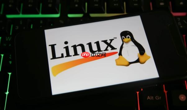 Linux文件系统的目录权限与访问控制