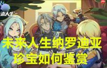 未来人生纳罗迪亚珍宝如何鉴赏
