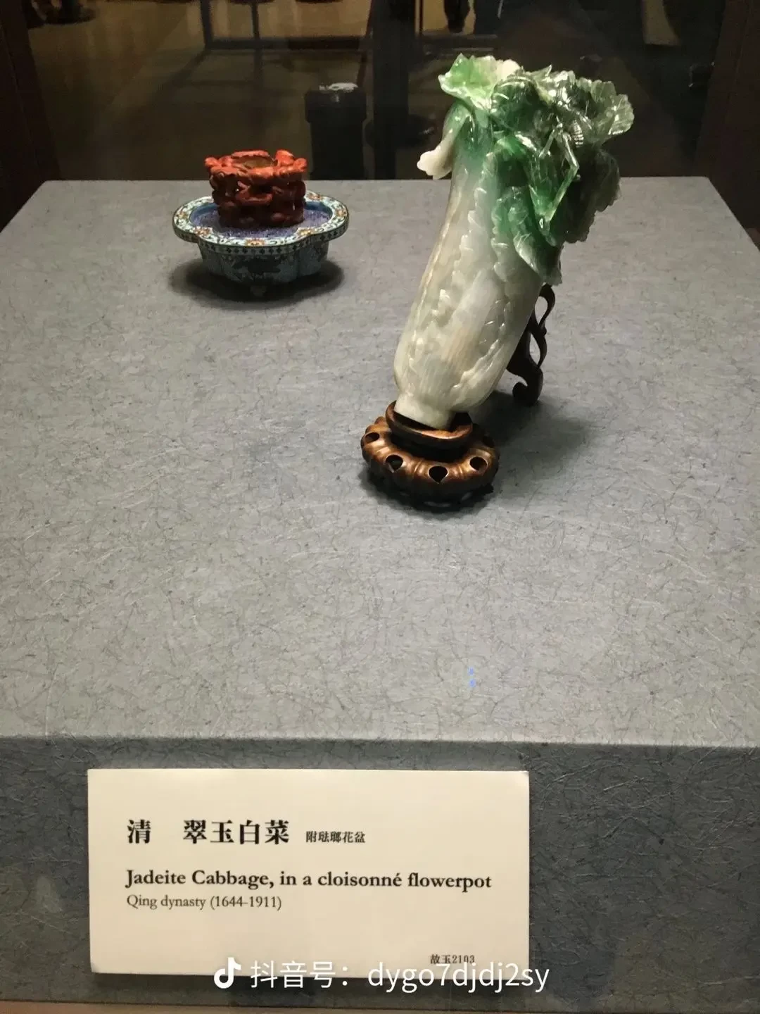 未来人生纳罗迪亚珍宝如何鉴赏