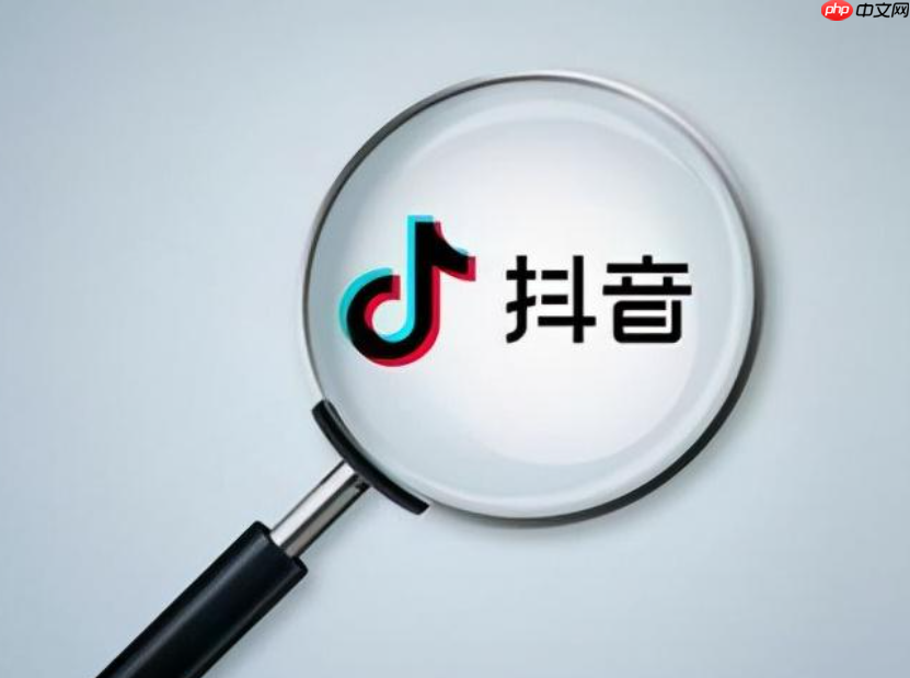 哪些抖音标签能提高浏览量?哪种类型的标签最具吸引力?抖音运营秘籍:如何用标签策略引爆视频浏览量?