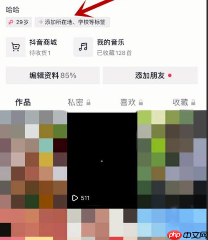 哪些抖音标签能提高浏览量?哪种类型的标签最具吸引力?抖音运营秘籍:如何用标签策略引爆视频浏览量?