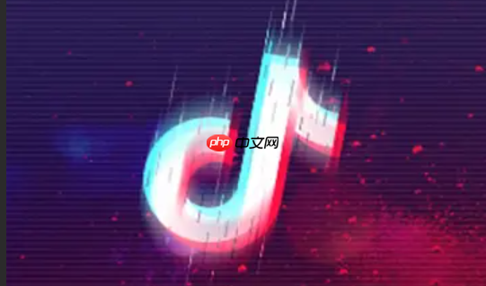 抖音電商羅盤數(shù)據(jù)授權(quán)入口在哪里？怎么用？抖音電商羅盤數(shù)據(jù)授權(quán)入口全攻略：快速上手實操指南