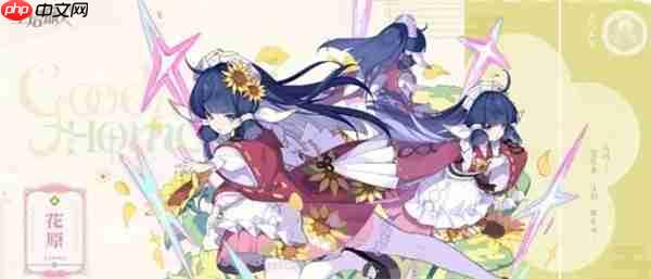 星塔旅人T0角色推荐