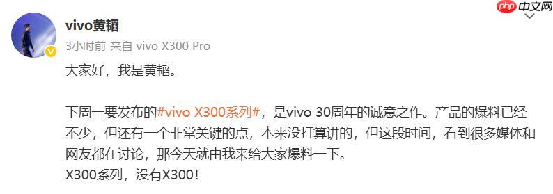 vivo产品副总裁称X300系列为“影像旗舰大小王”：没有标准版