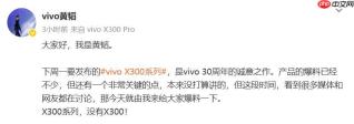 vivo产品副总裁称X300系列为“影像旗舰大小王”：没有标准版