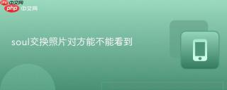 soul交换照片对方能不能看到
