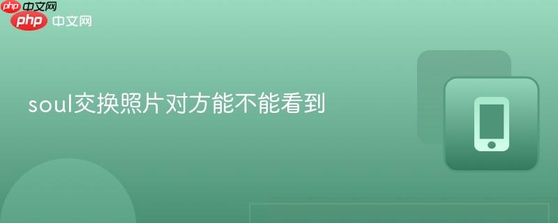 soul交换照片对方能不能看到