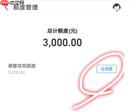 淘宝花呗分期如何使用？如何提高花呗分期额度？便捷消费与额度提升全知道。