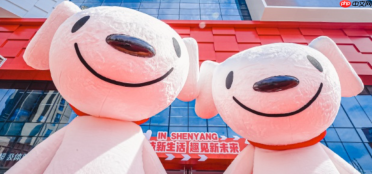 京东小魔方抽奖结果在哪里查看？抽奖规则是什么？京东小魔方抽奖规则全解析：PLUS会员专属通道+每日最佳抽奖时间曝光！