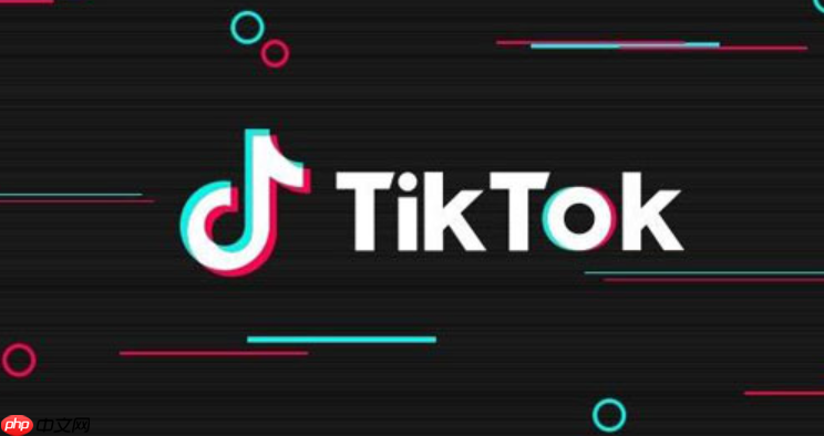 什么是TikTok直播推流码?TikTok直播推流码获取方法详解,如何提升流量与收益?