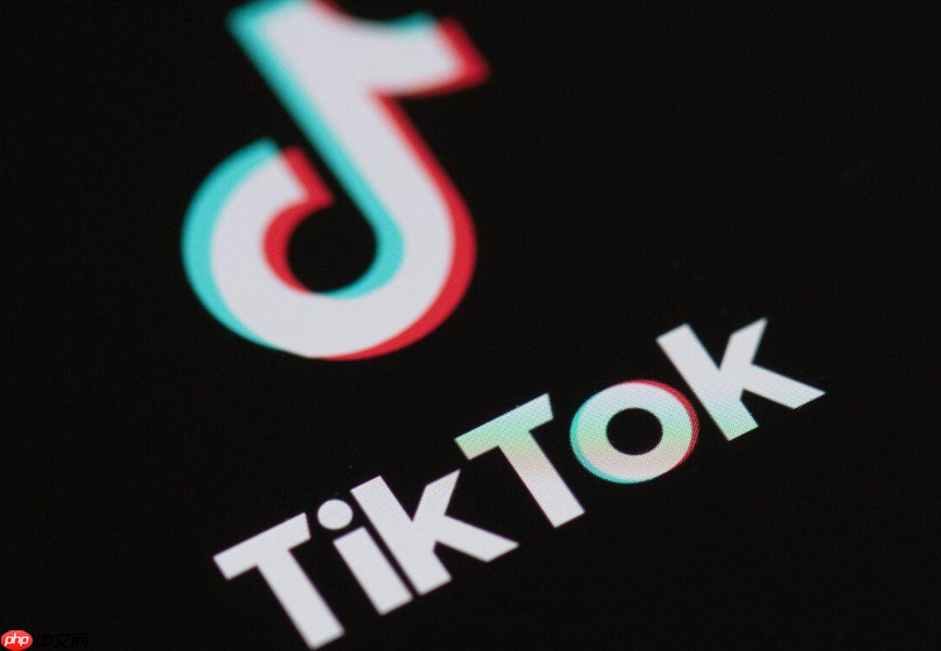 什么是TikTok直播推流码？TikTok直播推流码获取方法详解，如何提升流量与收益？