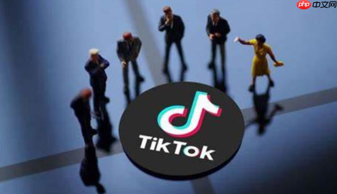 什么是TikTok直播推流码?TikTok直播推流码获取方法详解,如何提升流量与收益?