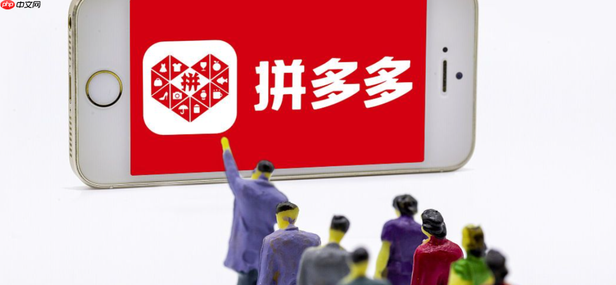 拼多多开车开多久才有自然流量？开车需要开发票吗？拼多多开车3周自然流量暴涨秘诀！90%商家不知道的发票避坑指南