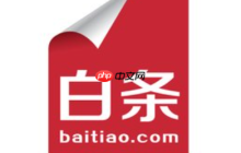 京东白条逾期60天有问题吗？使用时需要注意什么？使用必读指南