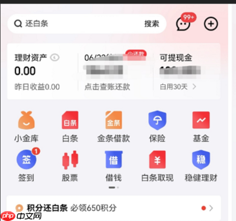 京东白条逾期60天有问题吗？使用时需要注意什么？使用必读指南