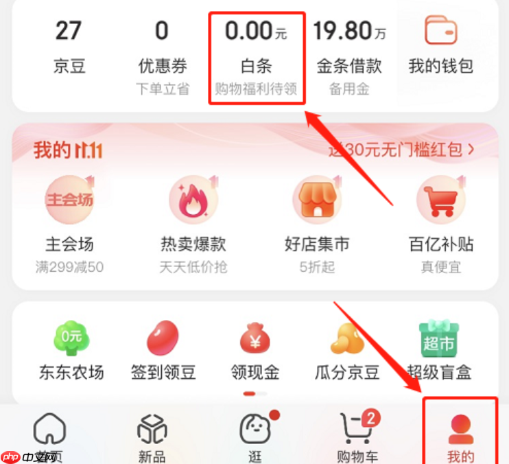 京东白条逾期60天有问题吗？使用时需要注意什么？使用必读指南