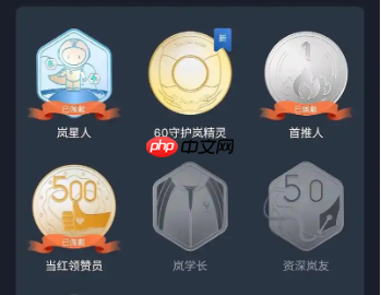 抖音名字后面的勋章是什么意思?如何提高上热门的几率?提升自己的影响力。