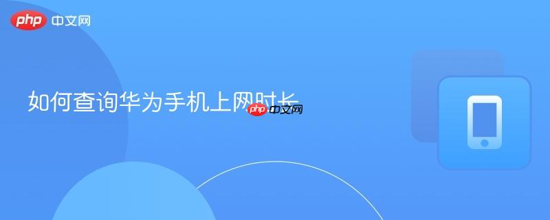 如何查询华为手机上网时长