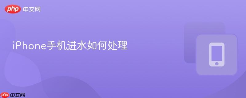 iPhone手机进水如何处理