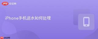 iPhone手机进水如何处理