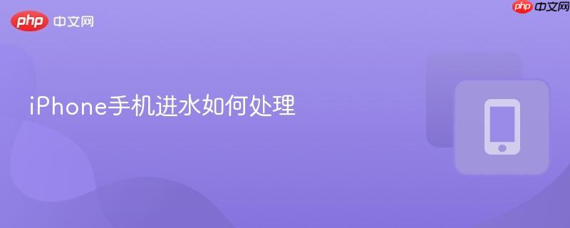 iphone手机进水如何处理