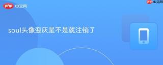 soul头像变灰是不是就注销了