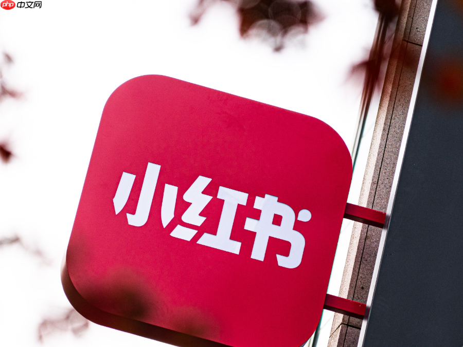 小红书1000粉的报价是多少？1000粉丝账号的商业价值究竟有多大？粉丝数量与广告收益的关系揭秘！