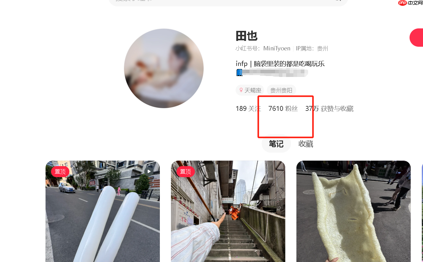 小红书1000粉的报价是多少?1000粉丝账号的商业价值究竟有多大?粉丝数量与广告收益的关系揭秘!