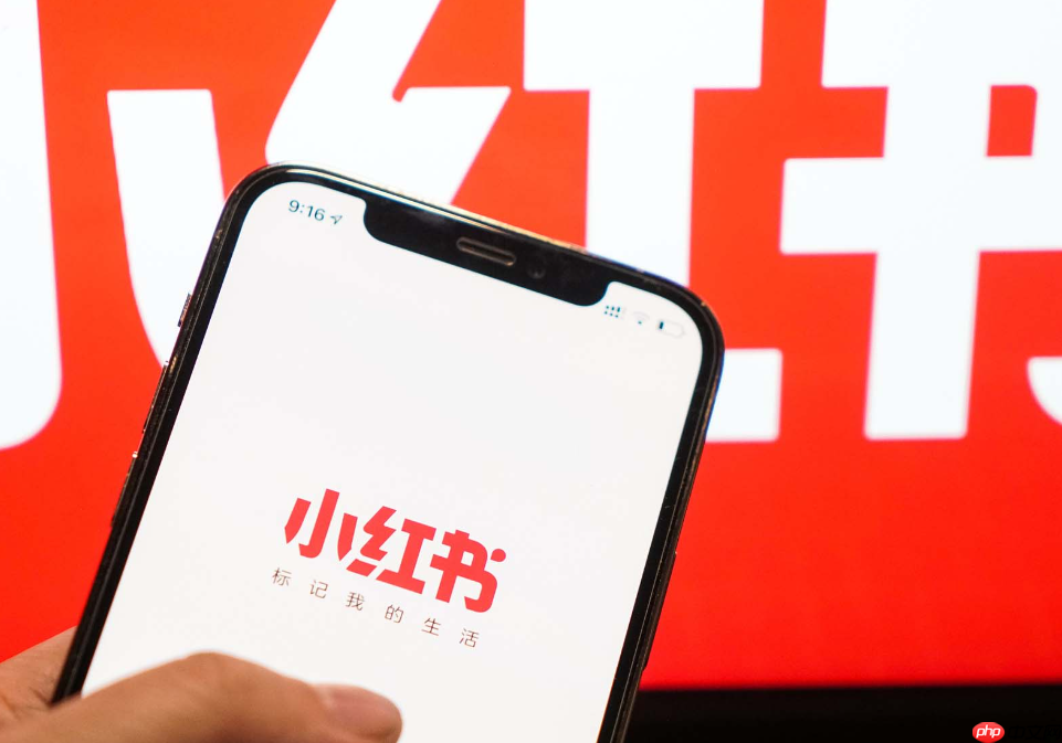 小红书1000粉的报价是多少?1000粉丝账号的商业价值究竟有多大?粉丝数量与广告收益的关系揭秘!