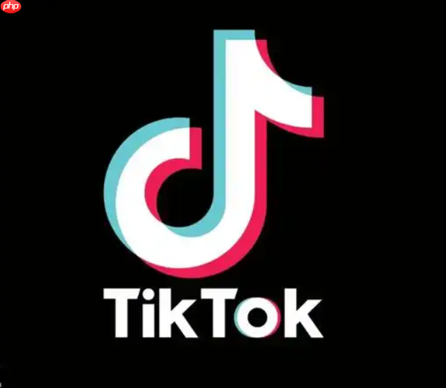 抖音海外版電商賺錢攻略？成為TikTok網(wǎng)紅與漲粉Mai號的實(shí)操分析！