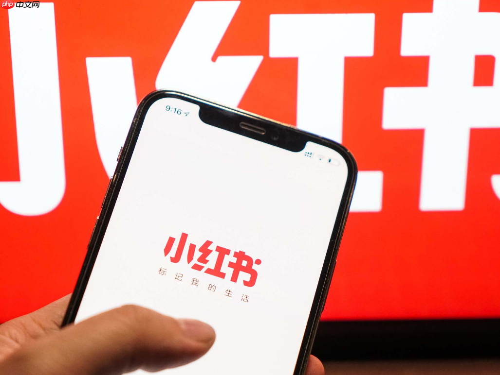 小紅書為啥不被推薦？掙錢容易嗎？深度解析平臺機(jī)制與變現(xiàn)真相