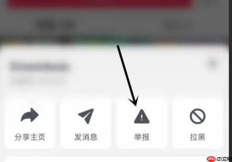 抖音飞鸽举报功能怎么使用?操作步骤是什么?详细图文指引最新版来啦!