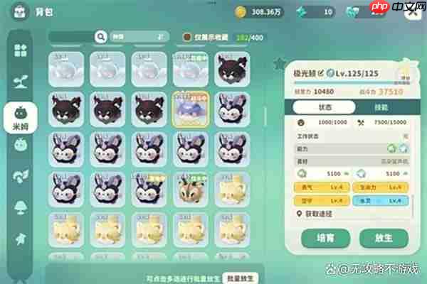 米姆米姆哈黎光雀打法指南