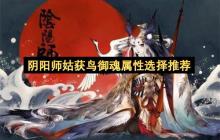 阴阳师姑获鸟御魂属性选择推荐