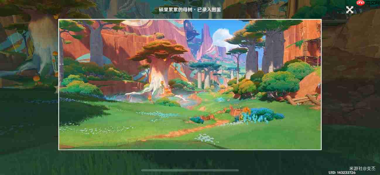 原神纳塔十四处观景点一览