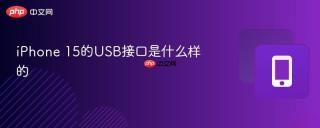 iPhone 15的USB接口是什么样的