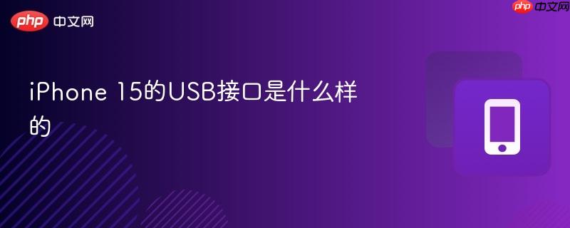 iphone 15的usb接口是什么样的